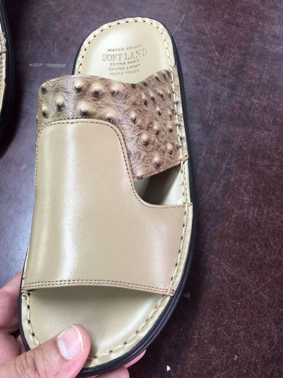 Shoes Image